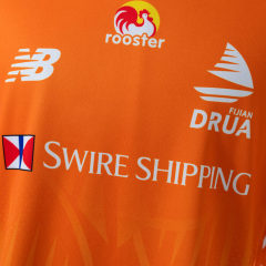 FIJIAN 2026 DRUA REVERSIBLE TRAINING JERSEY