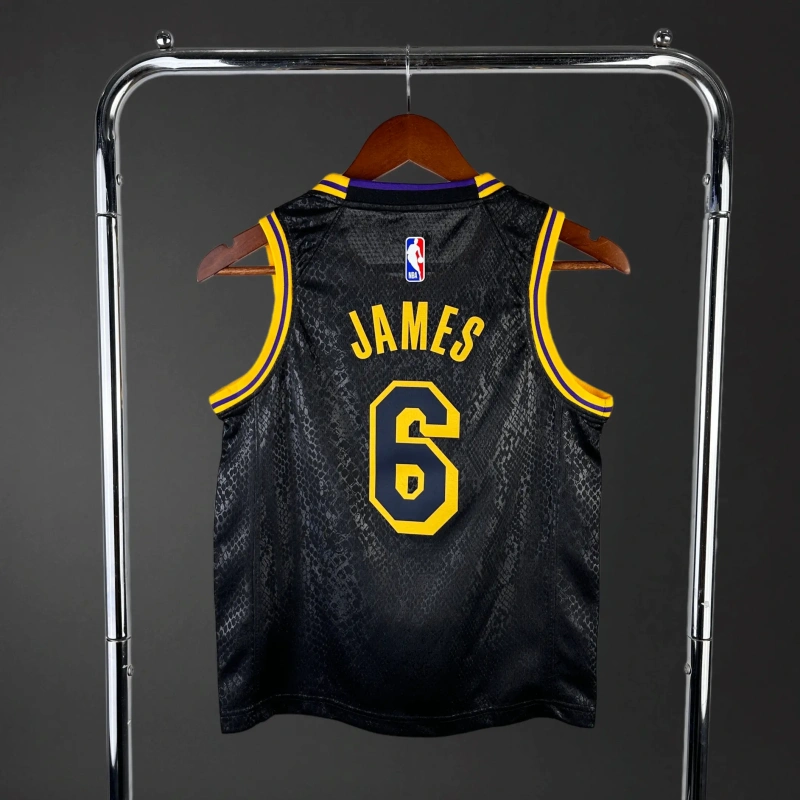 Los Angeles Lakers #6 James Youth NBA Silk Jersey