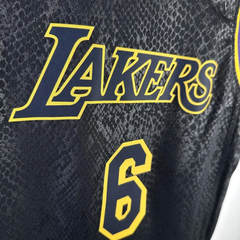 Los Angeles Lakers #6 James Youth NBA Silk Jersey
