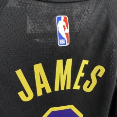 Los Angeles Lakers #6 James City Edition Youth NBA Silk Jersey