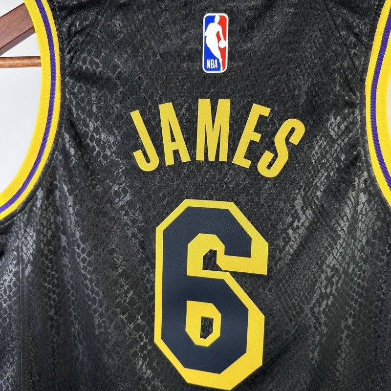 Los Angeles Lakers #6 James Youth NBA Silk Jersey