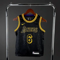 Los Angeles Lakers #6 James Youth NBA Silk Jersey