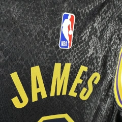 Los Angeles Lakers #6 James Youth NBA Silk Jersey