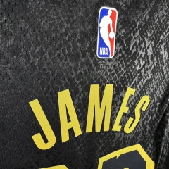 Los Angeles Lakers #23 James Youth NBA Silk Jersey