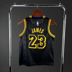 Los Angeles Lakers #23 James Youth NBA Silk Jersey