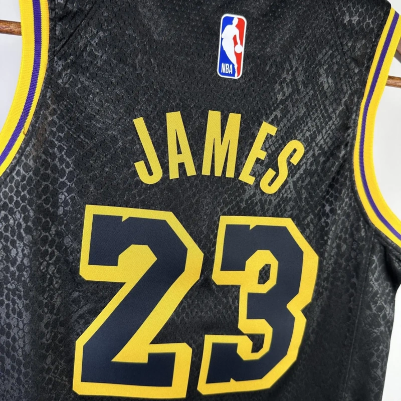 Los Angeles Lakers #23 James Youth NBA Silk Jersey