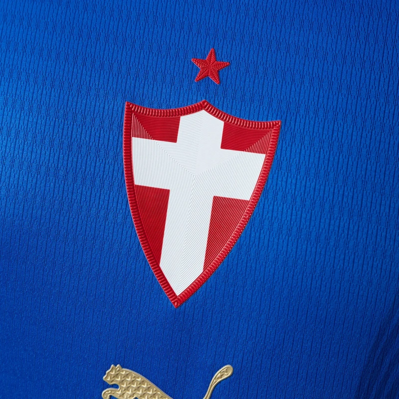 Palmeiras 26/27 Third Player Version Jersey