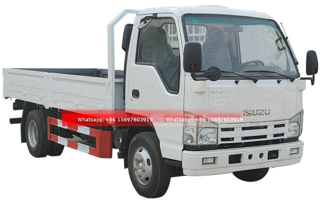 Small Light ISUZU ELF Cargo Flatbed Truck 3 Tons 4Tons