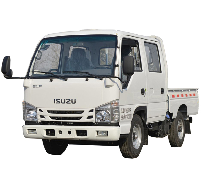 Mini ISUZU ELF100P Double Cabin 4x2 drive in short base Cargo Truck
