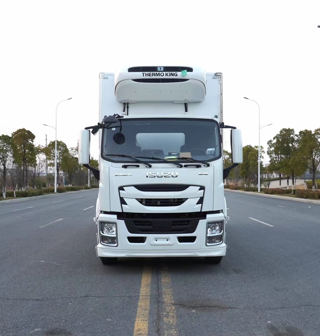 6Wheels Brand New ISUZU GIGA 4X 205HP Refrigerated Truck 45m3 Cooling Room 7.6m With Thermo King Cooling Unit