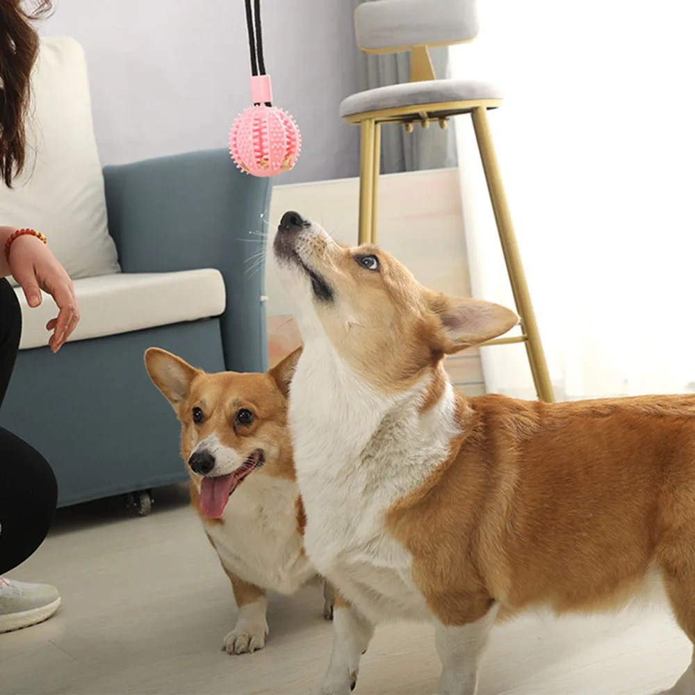 Suction Cup Dog Pull Toy Puppy Toy for Food Distribution Tooth Cleaning Dog Rope Toys for Aggressive Chewers Tug of War Dog Toy