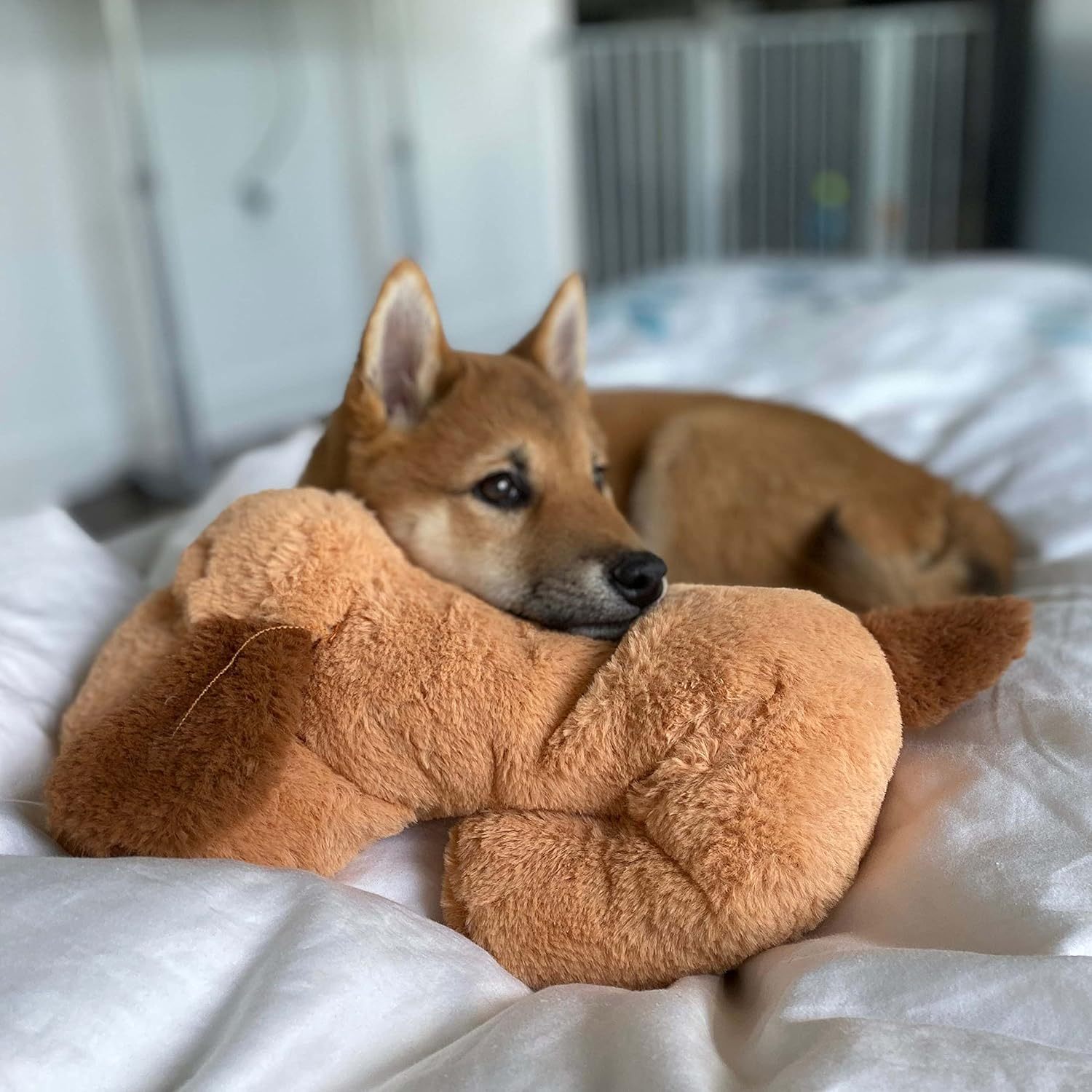 Original Snuggle Puppy Toys - Heartbeat Puppy for Dogs - Dog Plush for Anxiety Relief, Calming Aid, and Comfort Toy for Behavioral Training in Biscuit