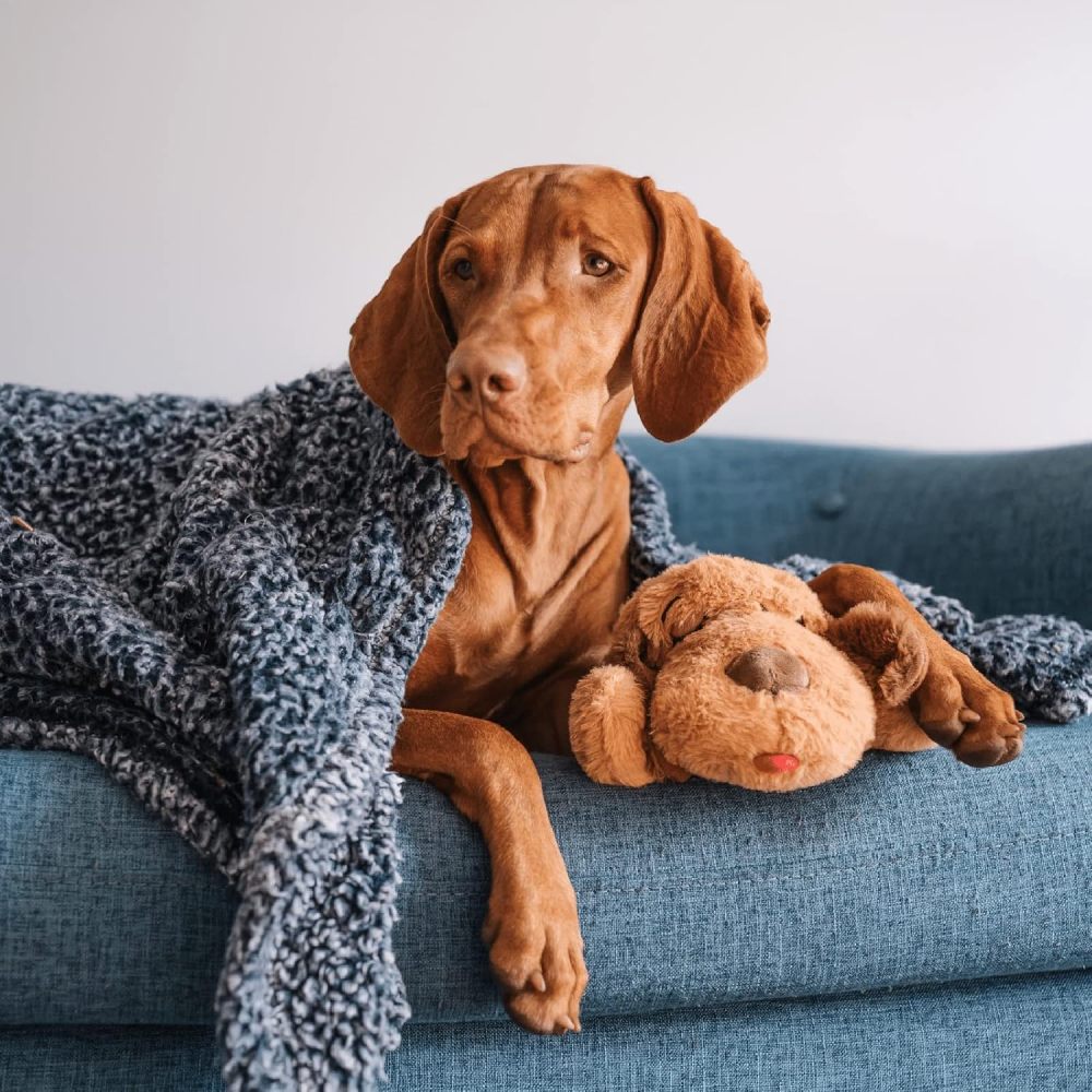 Original Snuggle Puppy Toys - Heartbeat Puppy for Dogs - Dog Plush for Anxiety Relief, Calming Aid, and Comfort Toy for Behavioral Training in Biscuit
