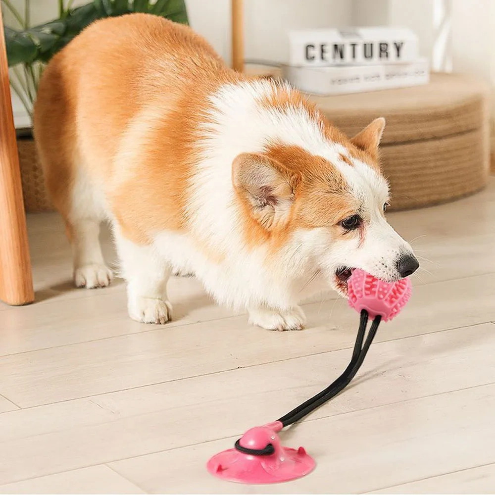Suction Cup Dog Pull Toy Puppy Toy for Food Distribution Tooth Cleaning Dog Rope Toys for Aggressive Chewers Tug of War Dog Toy