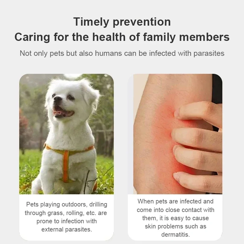 Adjustable Flea & Mosquito Collar for Cats & Dogs - Outdoor Insect Repellent, Anti-Flea for Pets Insect Repellent Cat Collar