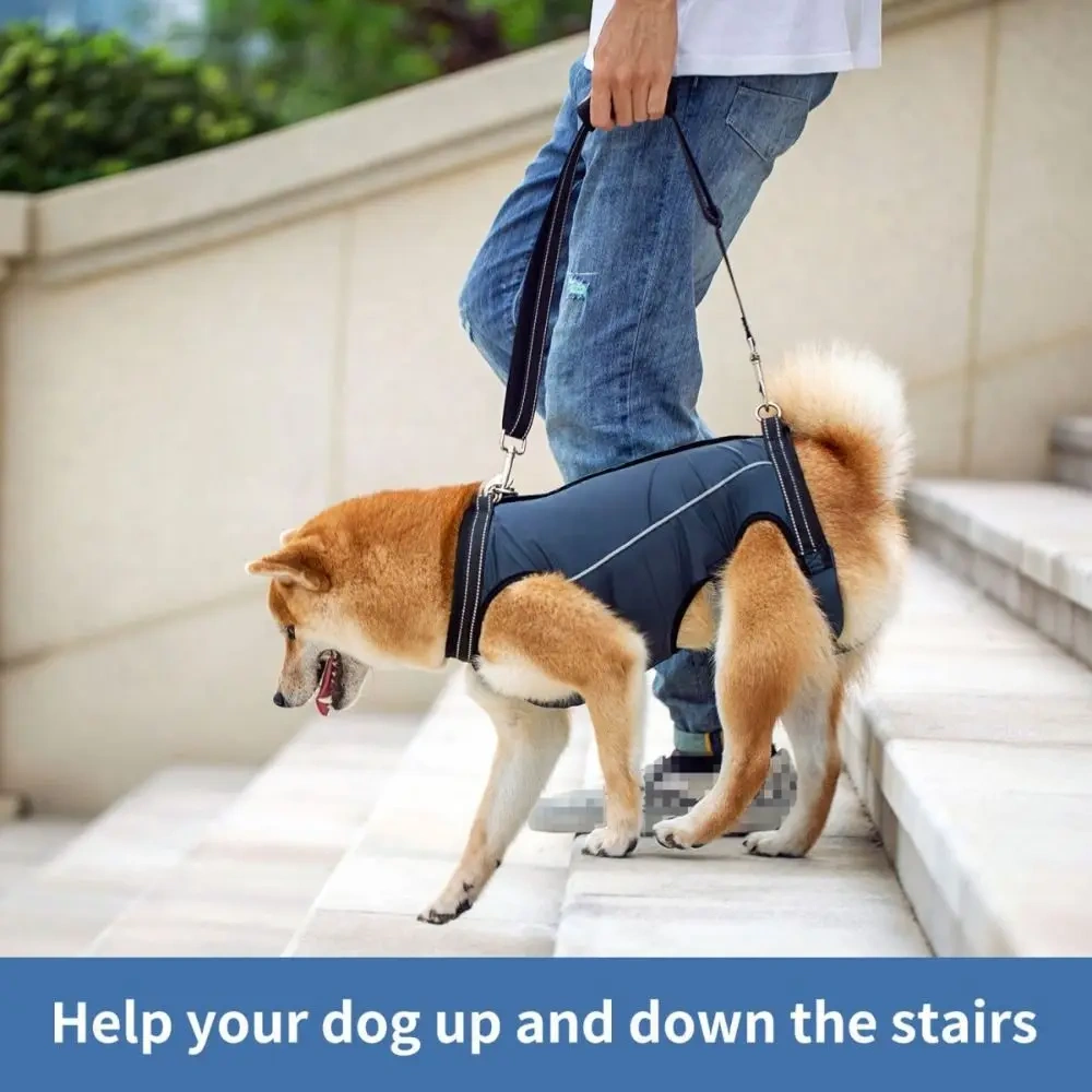 Legs Support Dog Back Brace Adjustable Various Sizes Puppy Sling Carrier Pet Assist Belt Breathable Dog Lift Harness Disabled