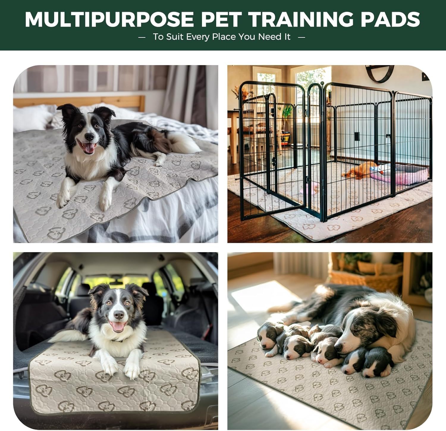 FXW Washable Pee Pads for Dogs, Puppy Pads with Super Absorbent, Specifically Designed for FXW Rollick/Homeplus 24inch 6 Panels Dog Playpen, Rectangle, 63" x 39", 1 Pack