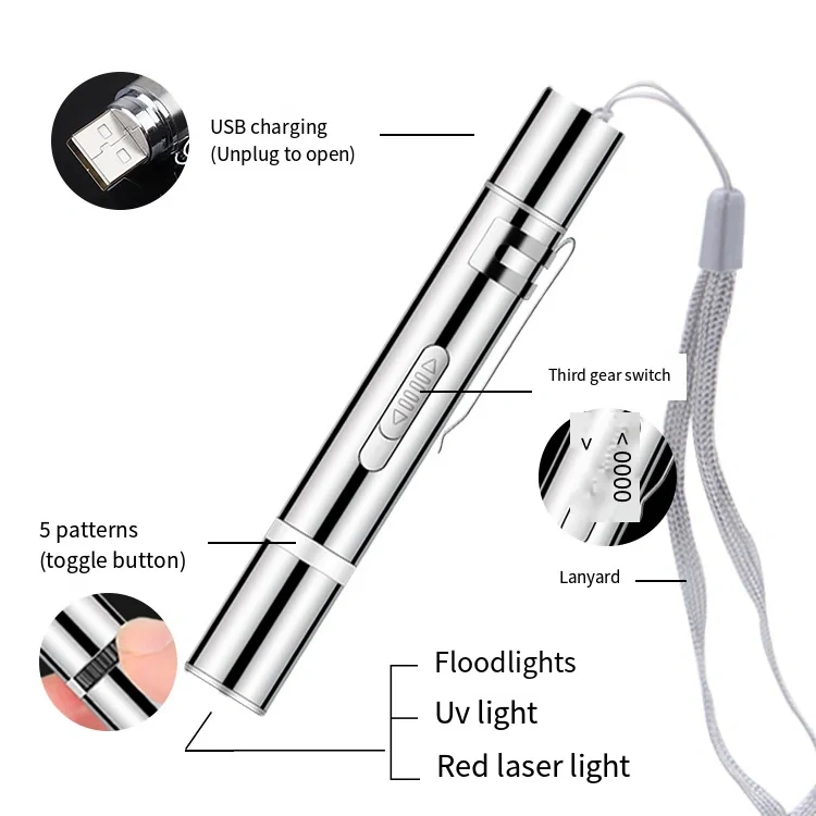 Wholesale Cat Interactive Toy Red Laser Pattern Teaser Playful Cat Laser Pen Rechargeable Cat Teasing Laser