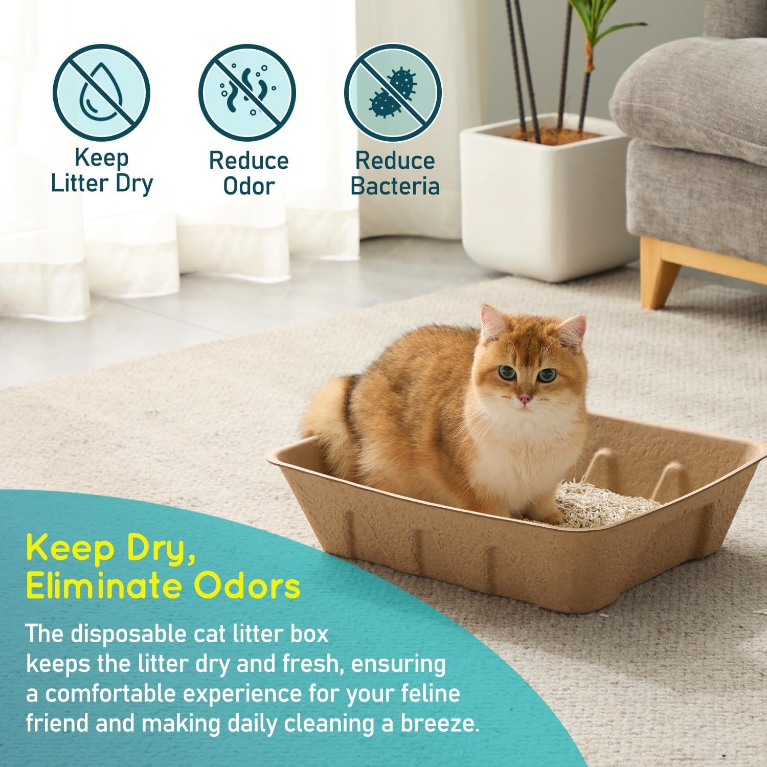Disposable Cat Litter Box - 6 Packs, Water Resistant, Duralble Disposable Litter Boxes for Cats, Large Size (Large, 6, Count)