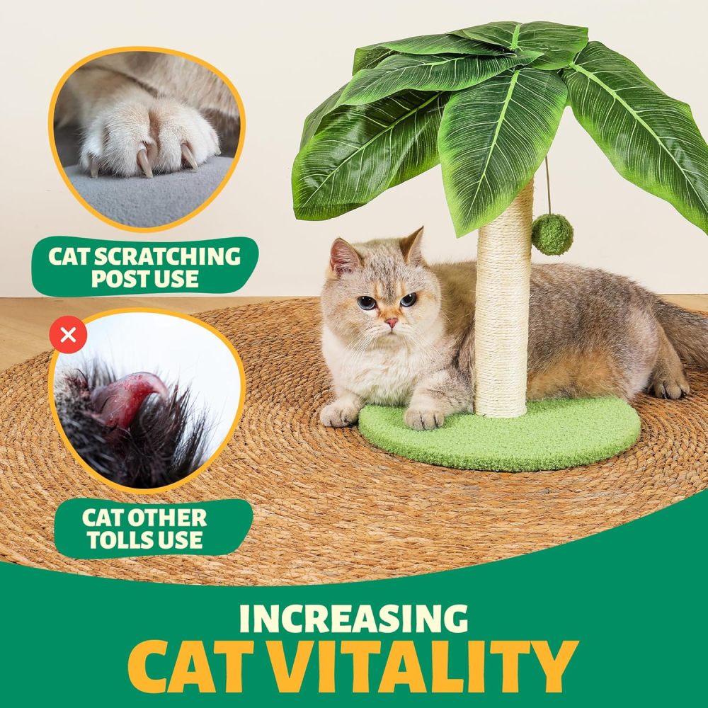 Cat Scratching Post with Sisal Pole, Sisal Ropes and Interactive Dangling Balls for Cat and Kittens – Cute Tree Scratching Post for Indoor Cats