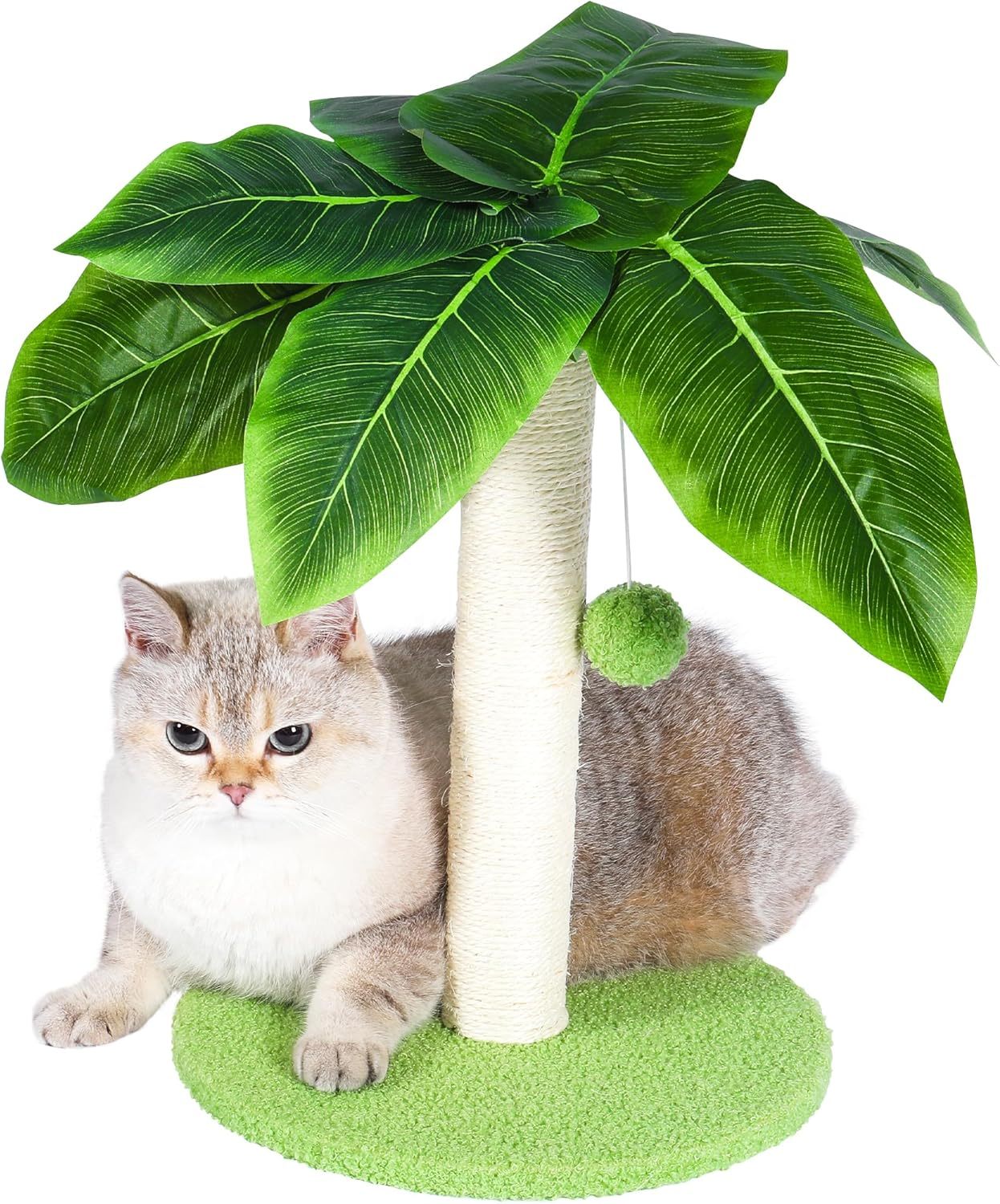 Cat Scratching Post with Sisal Pole, Sisal Ropes and Interactive Dangling Balls for Cat and Kittens – Cute Tree Scratching Post for Indoor Cats