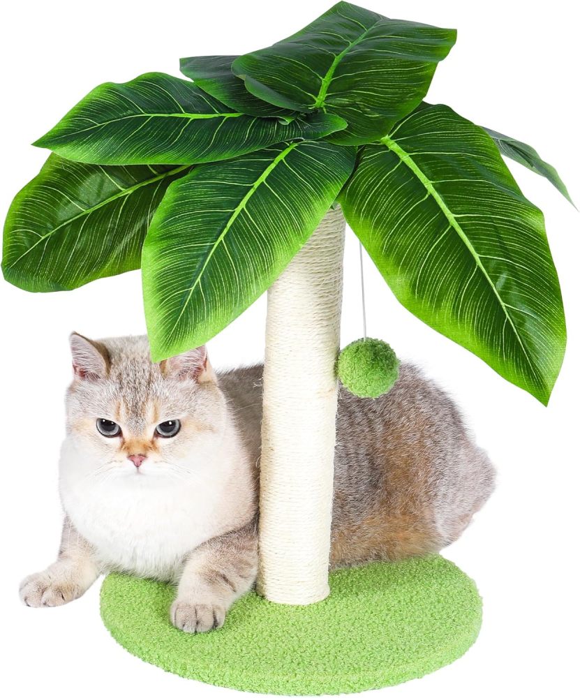 Cat Scratching Post with Sisal Pole, Sisal Ropes and Interactive Dangling Balls for Cat and Kittens – Cute Tree Scratching Post for Indoor Cats