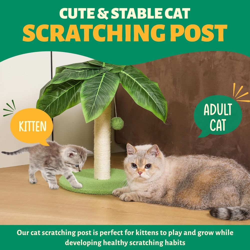 Cat Scratching Post with Sisal Pole, Sisal Ropes and Interactive Dangling Balls for Cat and Kittens – Cute Tree Scratching Post for Indoor Cats