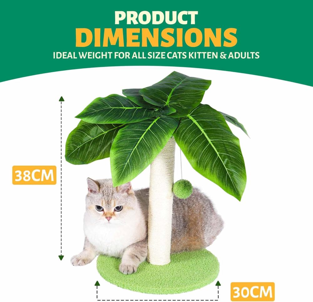 Cat Scratching Post with Sisal Pole, Sisal Ropes and Interactive Dangling Balls for Cat and Kittens – Cute Tree Scratching Post for Indoor Cats