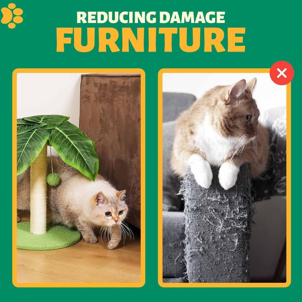 Cat Scratching Post with Sisal Pole, Sisal Ropes and Interactive Dangling Balls for Cat and Kittens – Cute Tree Scratching Post for Indoor Cats
