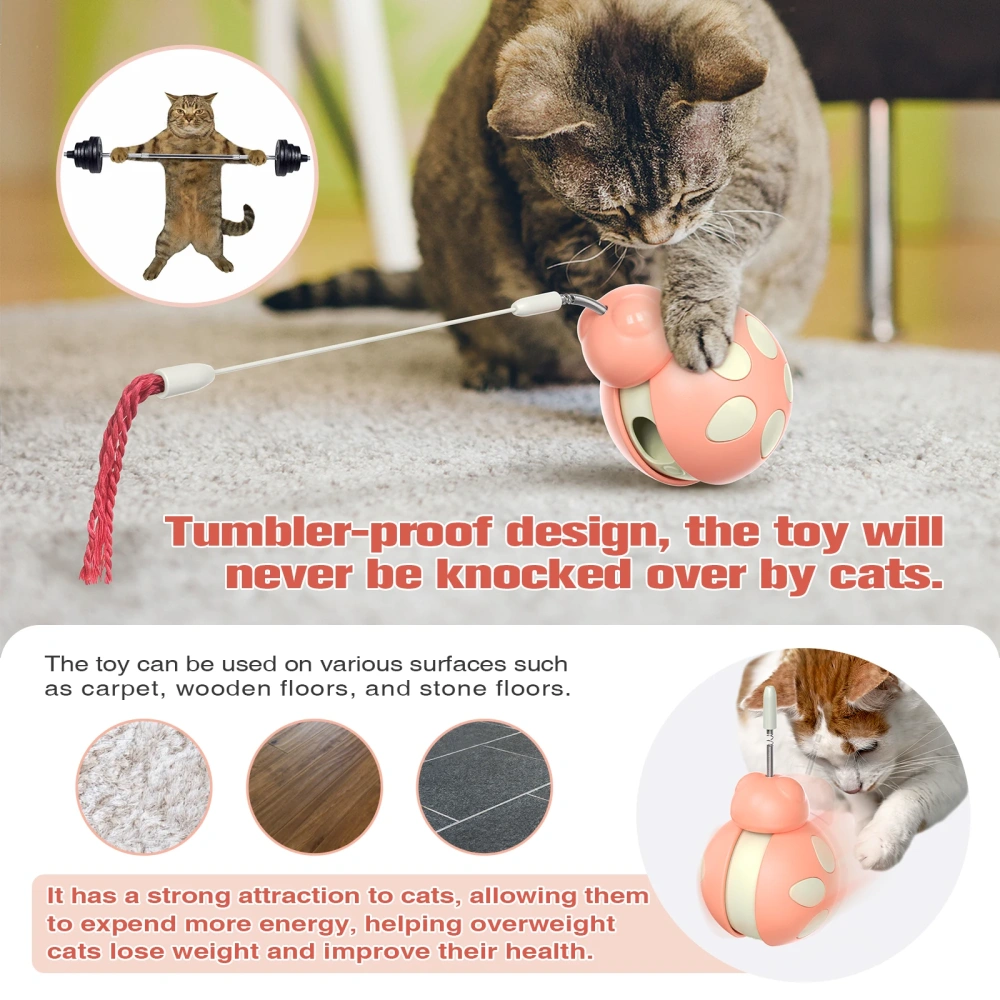 Hot Sale Cat Teaser Wand Pet Automatic Interactive IQ Puzzle Ladybug Food Feeder Toy Leak-Proof Cat Ladybug Toy Feeder