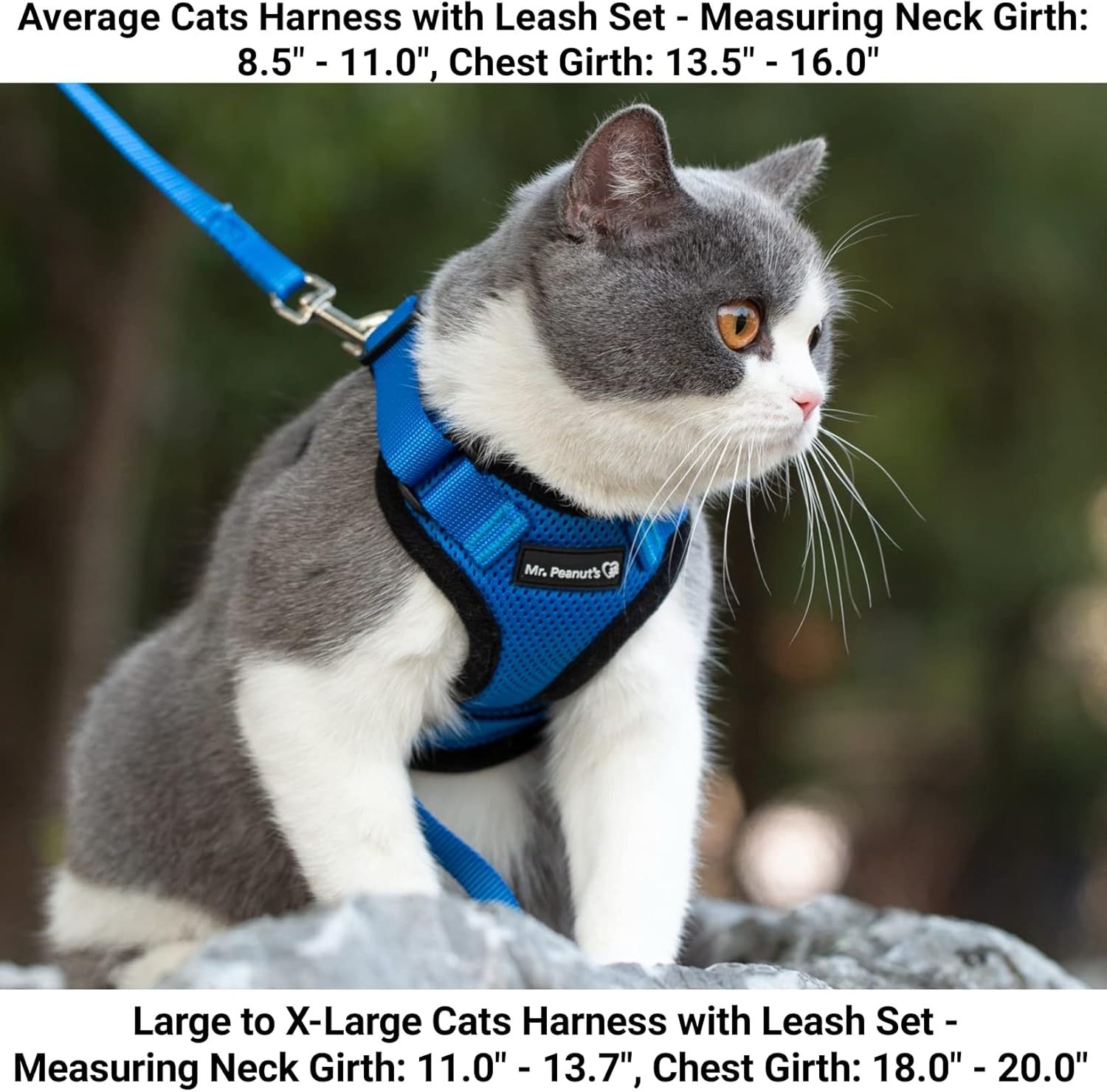 Mr. Peanut's PurrTrek Reflective Cat Harness with Matching Leash (Extra Small, Blue)