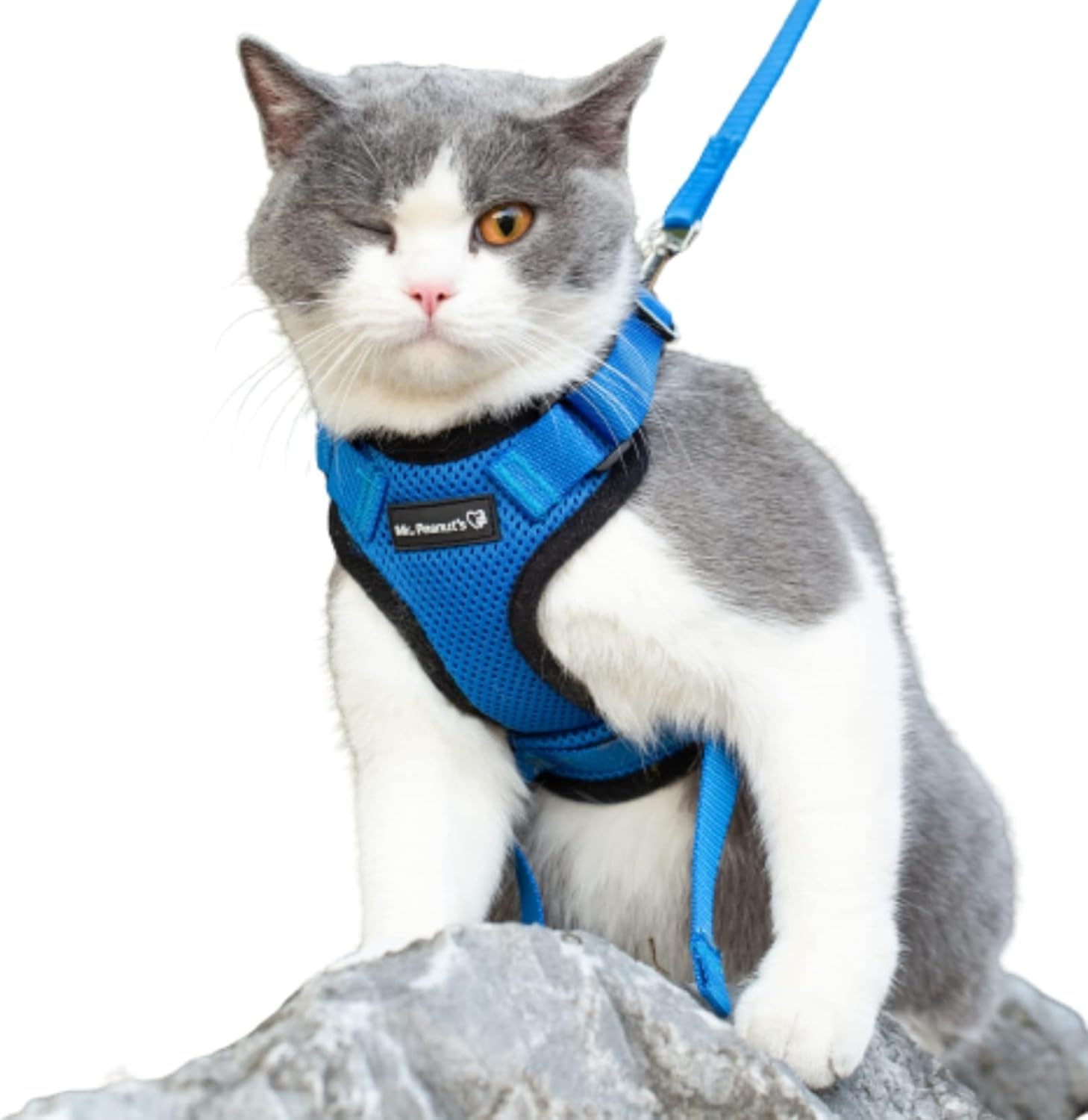 Mr. Peanut's PurrTrek Reflective Cat Harness with Matching Leash (Extra Small, Blue)