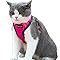 Mr. Peanut's PurrTrek Reflective Cat Harness with Matching Leash (Extra Small, Blue)