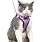 Mr. Peanut's PurrTrek Reflective Cat Harness with Matching Leash (Extra Small, Blue)