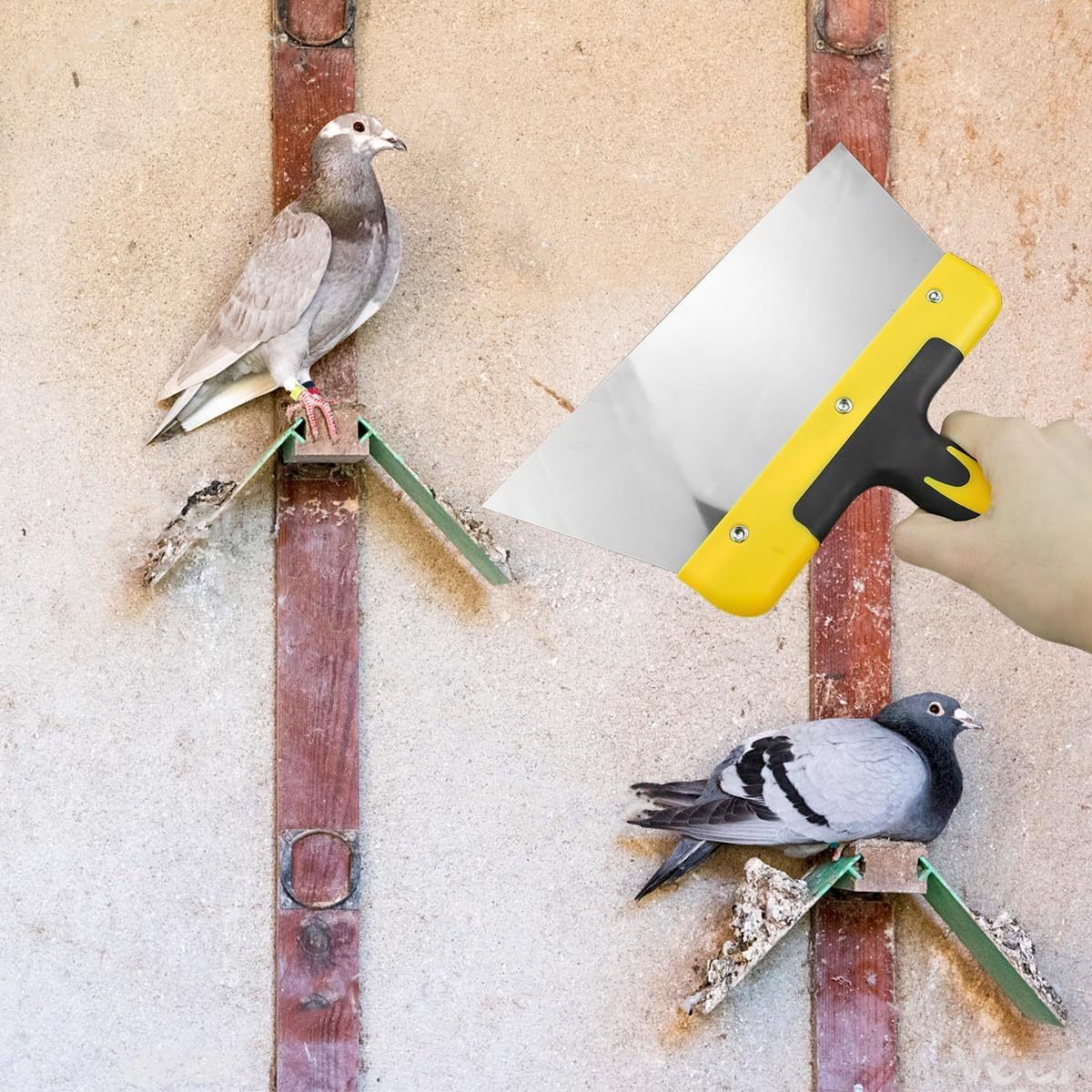Large Pigeon Droppings Scraper Bird Poop Remover Stainless Steel Bird Droppings Cleaning Scraper