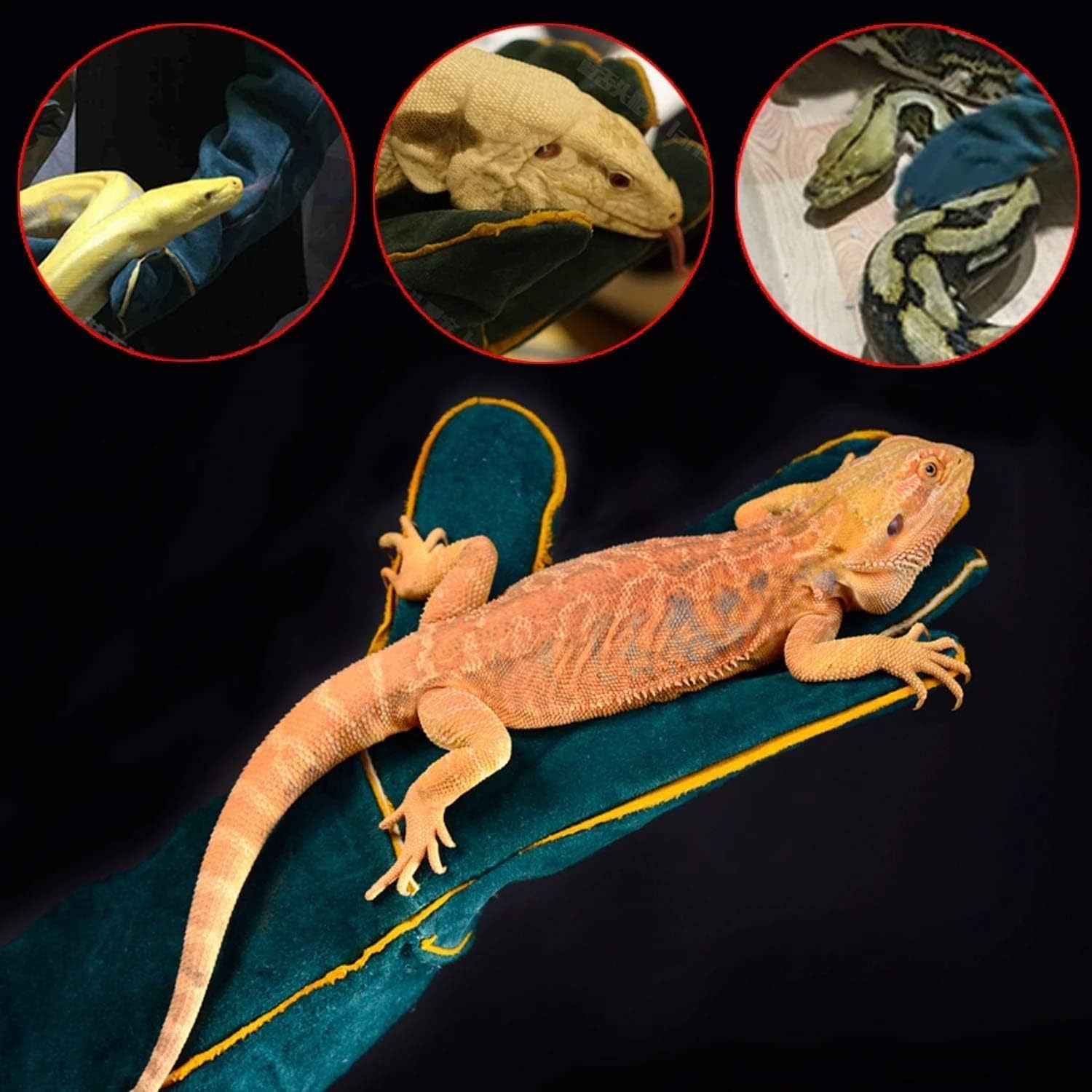 23.7 inch Animal Handling Gloves Bite Proof,Multipurpose Pet Glove for Grabbing Reptile, Grooming, Trips to Vet. Puncture & Scratch Resistant, Bite Proof for Cat Dog Bird Falcon Livestock Snake Large