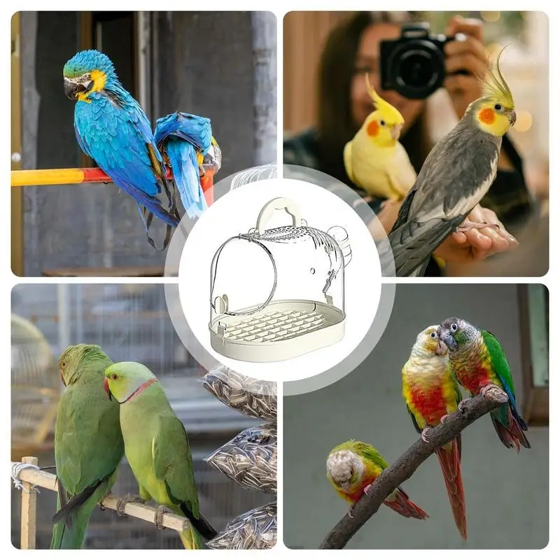 Parrot Take-Out Transparent Cage Bird Travel Carrier Bird Transport Cage Parrot Go Out Backpack Bird Cage Escape-Proof Buckle