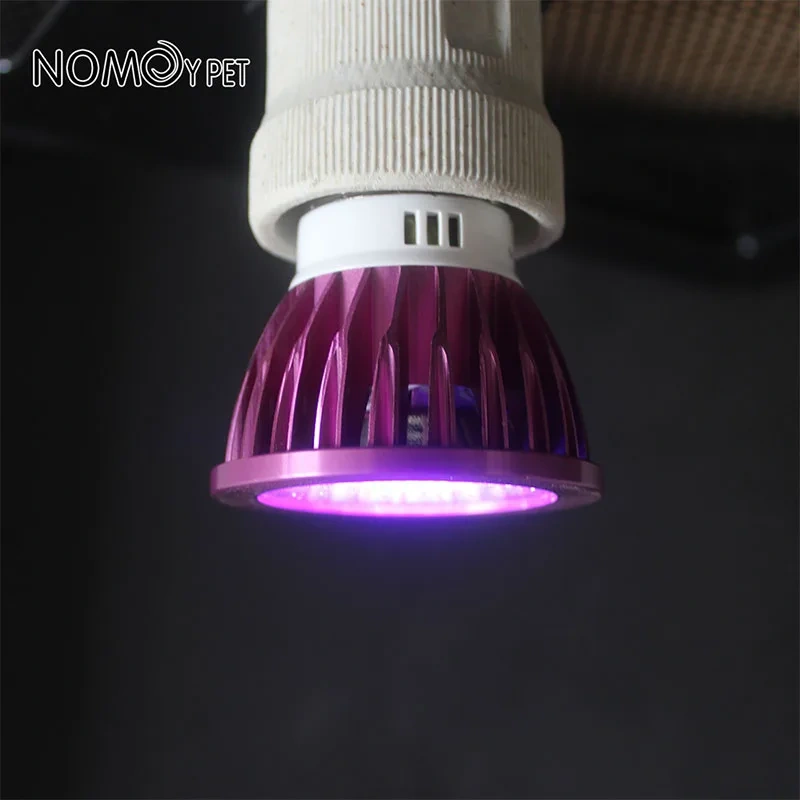 Reptile Night Lamp Imitation Moonlight Night Sleep Lighting Lamp for Turtle Lizard Snake Reptile Amphibian Pets Accessories