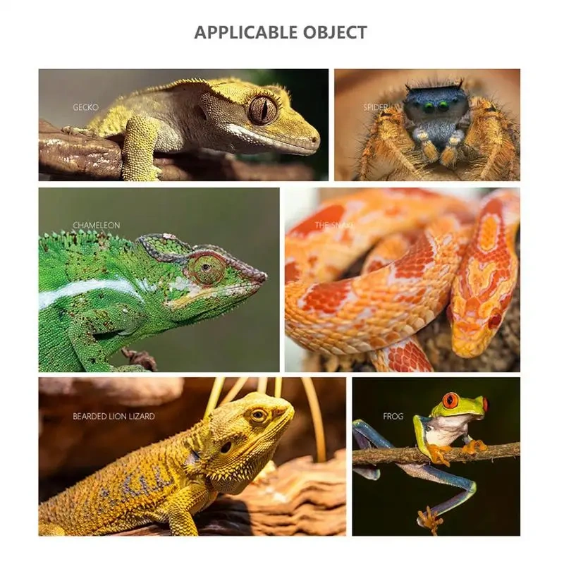 Reptile Resin simulation Branch fork Decoration Lizard Habitat Climbing Branch Ornament for reptiles climb exercise play hide