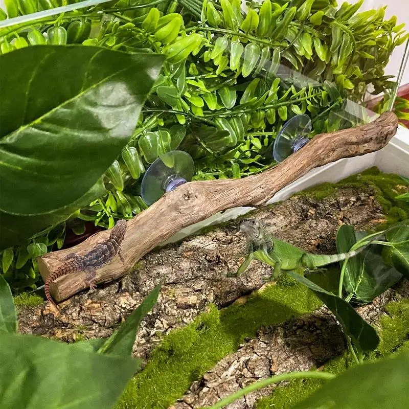 Reptile Branch Unique Terrarium Branches Climbing Accessories Natural Snake Tank Decor Reptile Decor Habitat Decorations