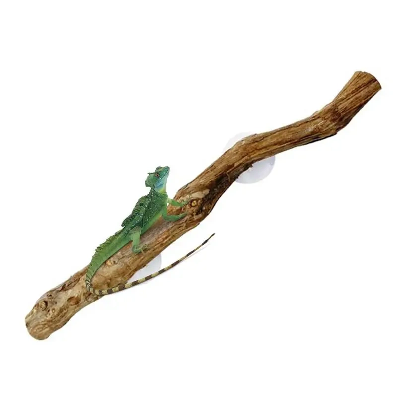 Reptile Branch Unique Terrarium Branches Climbing Accessories Natural Snake Tank Decor Reptile Decor Habitat Decorations