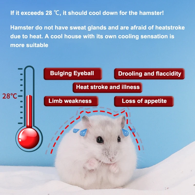 Hamster Nest Hideaway House Spring Summer Golden Bear Sleeping Nest Cooling Summer Shelter Heat Small House Sleeping
