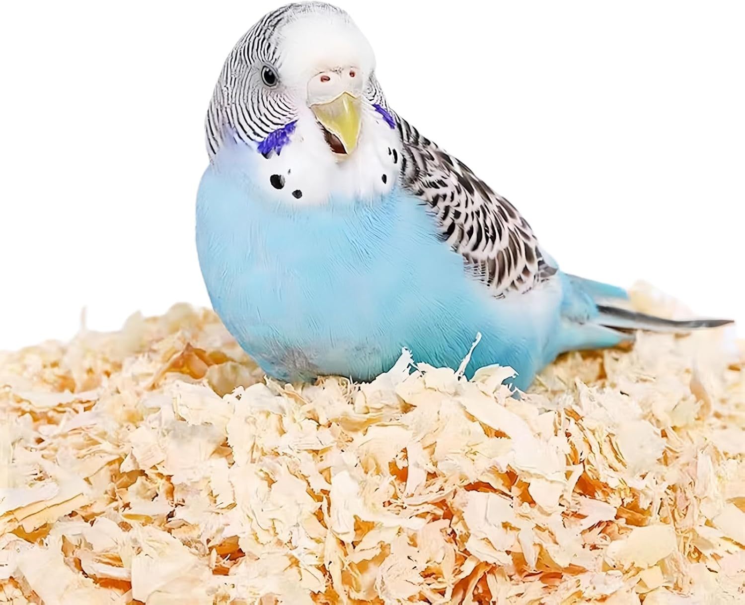 MANON ROSA Wood Shavings for Bird Bedding - Natural Aspen Soft Low-Dust & Odor-Control Nesting Material for Parakeets Parrots Rabbits Cockatiel for Cages, Nest Boxes, Small Pet Litter