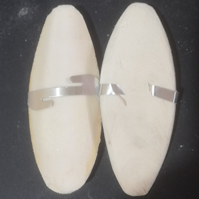 Cuttlebone for Birds and Parakeets - Natural Cuddlefish Bones for Tortoise and Snails - with Holder - Medium