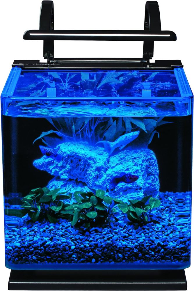 Marineland Contour 3 Aquarium Kit 3 Gallons, Rounded Glass Corners, Includes LED Lighting