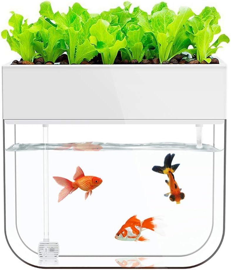 Hydroponic Garden Aquaponic Fish Tank Plants Growing System Self-Cleaning Seed Sprouter Tray