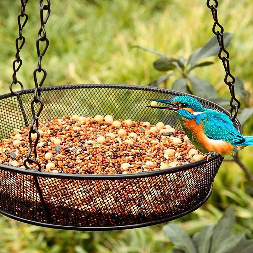 Outdoor Hanging Bird Feeder Wild Bird Food Feeder, Peanut Nut Feeding Station for Wild Bird, Hanging Bird Food Feeders for Garden Birds Feeding