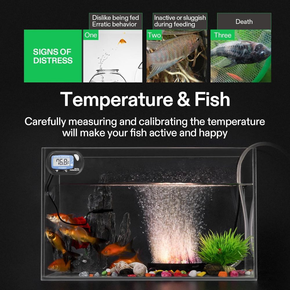 VIVOSUN 800GPH Submersible Pump & 1-Pack LCD Digital Aquarium Thermometer, Ultra Quiet Water Pump with 10ft High Lift, for Fish Tank, Pond, Aquarium, Statuary, Hydroponics