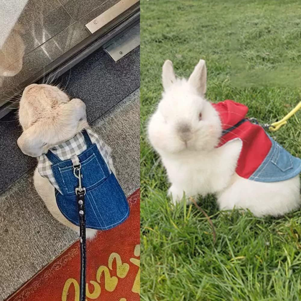 2 PCS Rabbit and Kitten Pet Harness - Small Breed Clothes for Bunny, Guinea Pig, Tiny Puppy & Hedgehog