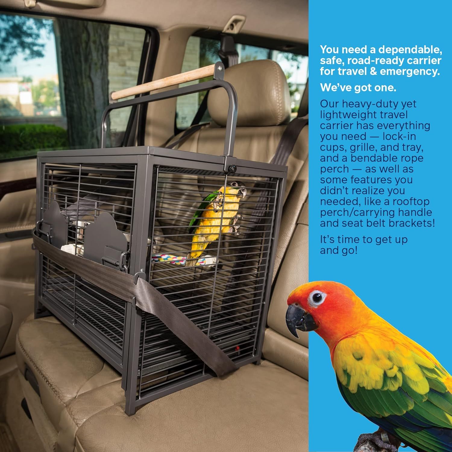 Prevue Pet Products Travel Carrier for Birds, Black 18.8"L x 14.9"W x 18.0"H